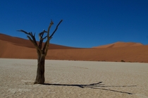 Deadvlei Namibia looking like a desktop background 