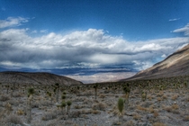 Death Valley National Park 