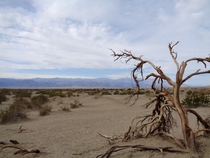Death Valley National Park California 