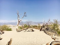 Death Valley NV 