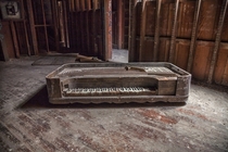 Decaying Remains of a Piano  by Cindi Roddan