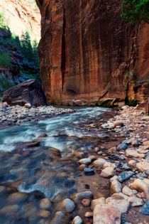 Deep in the Narrows of Zion NP 