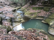 Deep pools of water in a creek located right beside the road in Ohio  