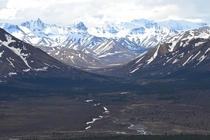 Denali National park and Reserve Alaska  x