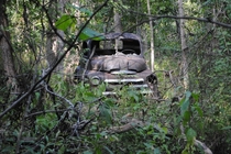 Derelict truck in the woods of southern Missouri 