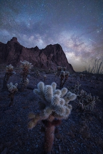 Desert Nightcape - Kofa Mountains AZ 