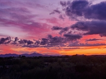 Desert Sky - Tucson AZ