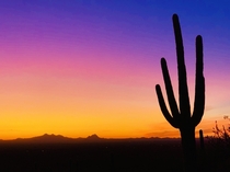 Desert sunset