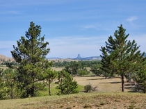Devils Tower Bear Lodge  miles in the distance 