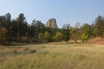 Devils Tower poking out over the trees 