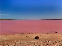 Didnt think the Hutt Lagoon West Australia - aka Pink Lake - would really be this pink 