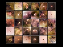 Different protoplanetary disks in the Orion Nebula Billions of years from now these will become new solar systems which might possibly host life