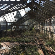Dilapidated greenhouse at abandoned hospital South Wales