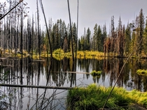 Dismal Swamp in Elmore County Idaho sitting at  ft in Elevation 