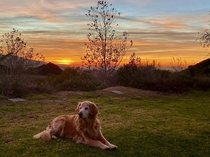 Dog sunset just now from the Deukmejian Wilderness Park above Los Angeles 