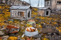 Doghouses in abandoned Soviet polar station 
