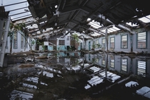 Dormitories being reclaimed by nature at an abandoned prison in Florida 