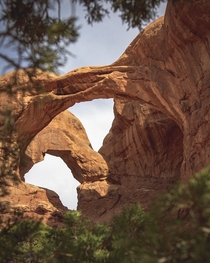 Double arch  x