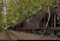 Dozens of narrow gauge hopper cars sit and rust after being seemingly abandoned for nearly half a century 
