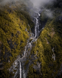 Dramatic lighting in Westland Tai Poutini National Park New Zealand  IG - adamweist