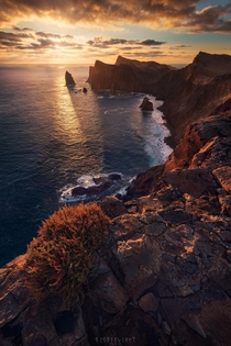 Dramatic vulcanic cliffs illuminated by the sunrise Madeira Portugal 