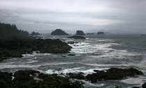 Dreary Fall Day on the Wild Pacific Trail Ucluelet Vancouver Island 