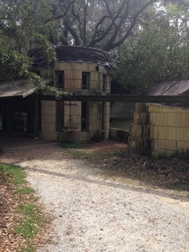 Driveway of abandoned Frank Lloyd Wright house in Florida