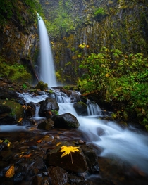 Dry Creek Falls in Oregon  IG afordphotography