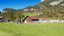 Drying hay in Switzerland 