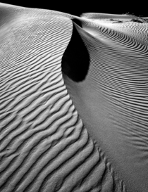 Dune South Western Australia 