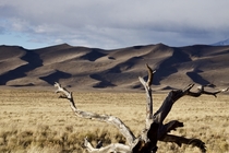 Dunes coming out of the Prairie - Great Sand Dunes National Park Colorado 