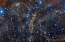 Dust Angel Nebula 