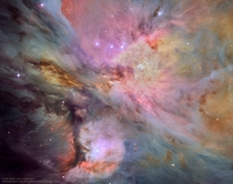 Dust Gas and Stars in the Orion Nebula