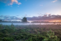 Dutch nature during sunrise 