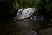 Dutchman Falls on the Larch Mnt Trail off the Columbia River Gorge 