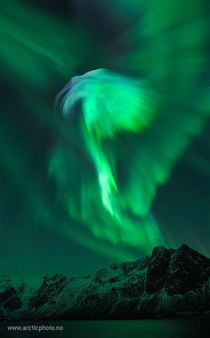 Eagle Aurora over Norway Credit Bjrn Jrgensen