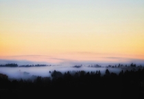 Early Morning Fog Bellevue WA