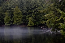 Early morning fog on the water in Gatineau Park Canada 