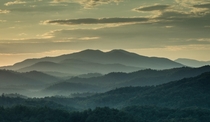 Early morning in The Great Smoky Mountains Tennessee 