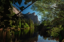 Early Morning in Yosemite 