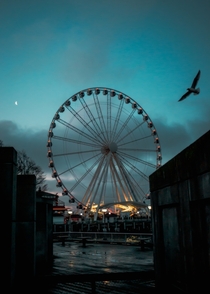 Early Morning Seattle Washington Sunrise Capturing The Seattle Great Wheel and Getting Very Lucky With a Bird in Frame 