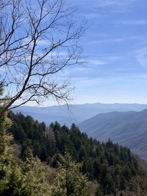 Early spring at Clingmans Dome  x