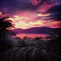 Easter sunrise in Marlborough Sounds New Zealand  xpost from rnewzealand