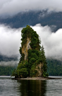 Eddystone Rock off the coast of Alaska  Photograph by David Schroeder