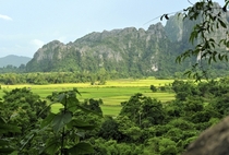 Edge of the Mekong Jungle Vietnam 