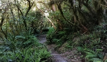 Egmont National Park New Zealand 