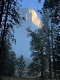 El Capitan breaks through the Yosemite morning fog 