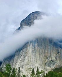 El Capitan in Yosemite  x  OC