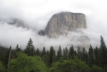 El Capitan Yosemite Valley 