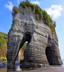 Elephant Rock Tongaporutu Beach New Zealand   